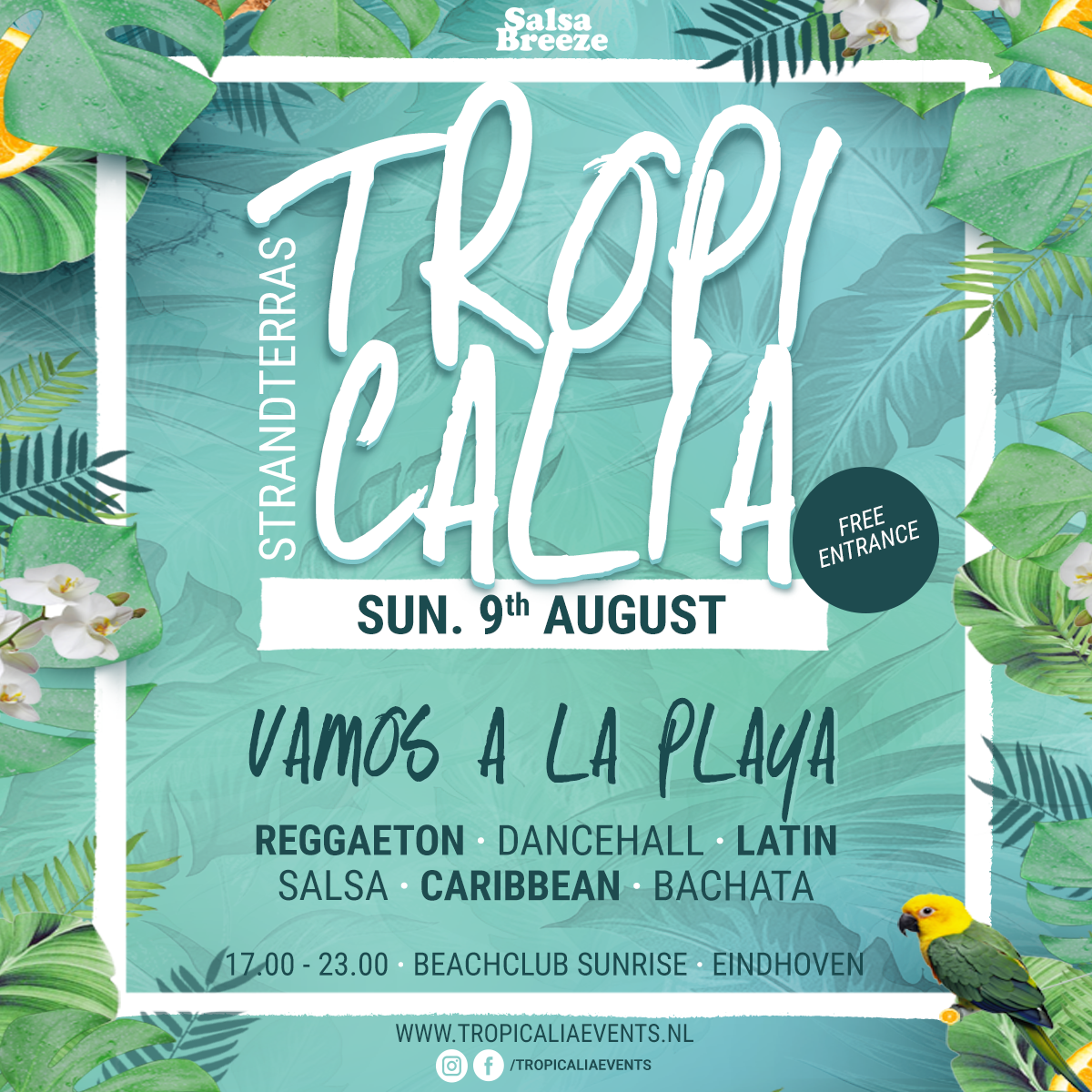 Tropicalia Strandterras 09.08.20 - Beachclub Sunrise (Eindhoven)